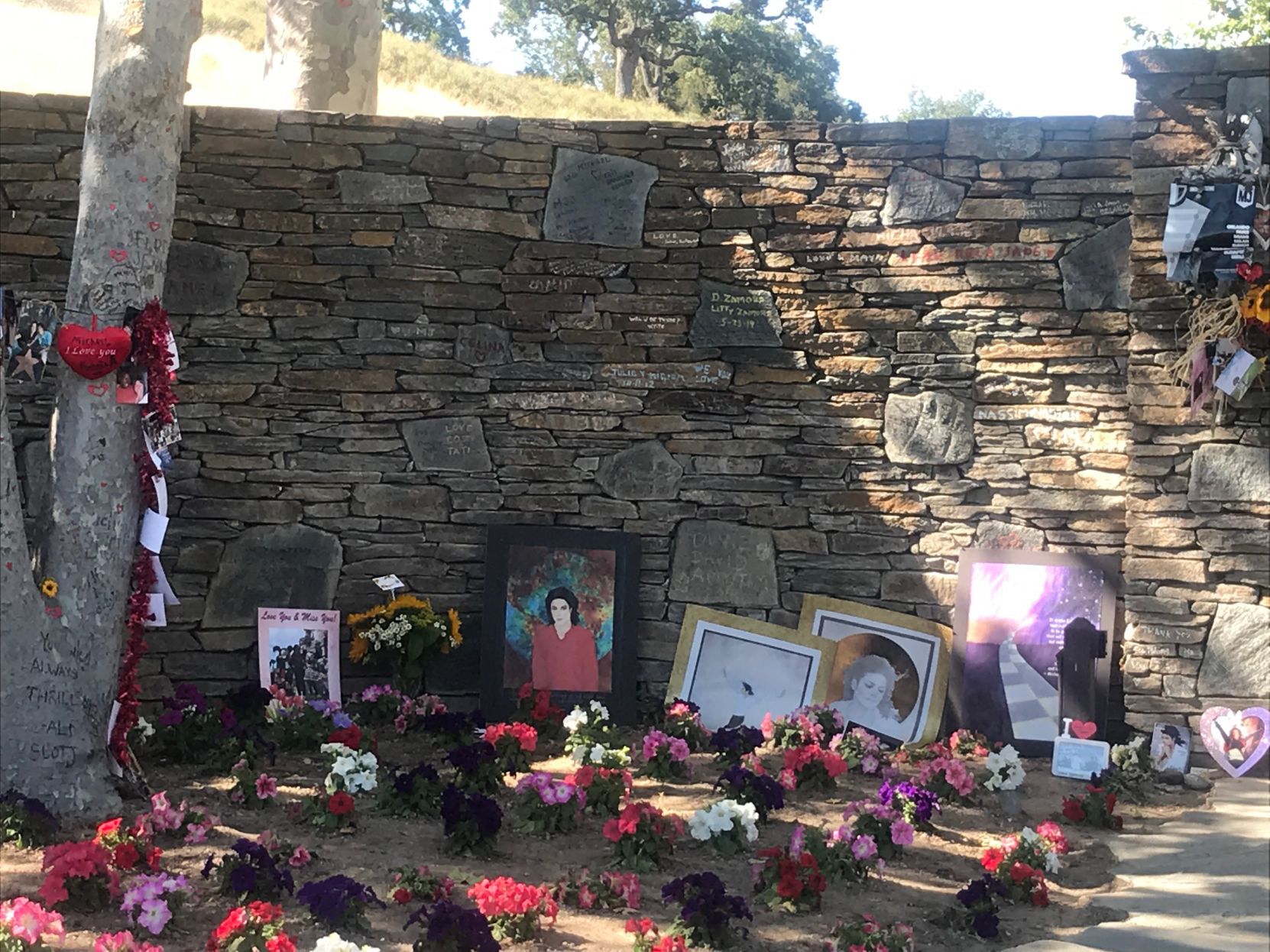 062719 MJ Ranch 8